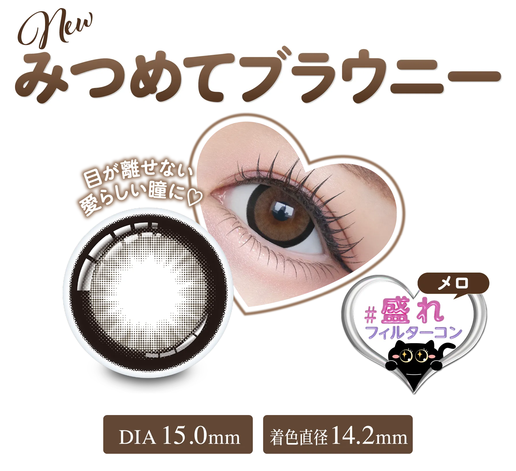 みつめてブラウニー